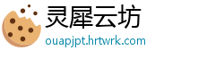 灵犀云坊